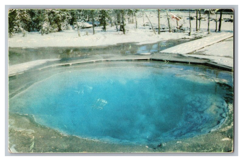 c1954 Postcard WY Morning Glory Pool Yellowstone Park Wyoming 