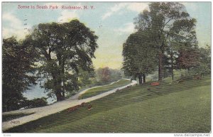 Scene In South Park, Rochester, New York, PU-1910