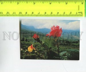 474497 1995 advertising insurance company Stinvest flowers roses Pocket CALENDAR