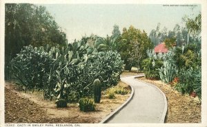 Postcard California Cacti Smiley Park Redlands Detroit Publishing 23-6608