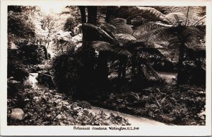 New Zealand Botanical Gardens Wellington Vintage RPPC C097