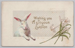 Holiday~White Daffodils & White Rabbit Joyous Easter~Vintage Postcard 