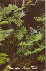 Hawaii Thurston Lava Tube In Hawaii's Tree Fern Forest