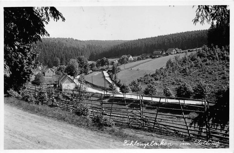 BG7333 solling fohlenplacken  germany CPSM 14x9cm