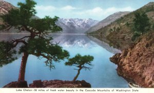 Vintage Postcard Lake Chelan Fresh Water Beauty Cascade Mountains Washington WA