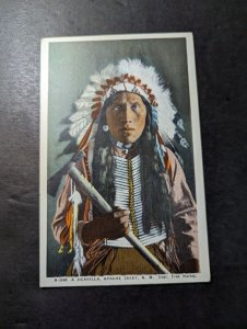 Mint USA Indigenous Native American Indian Postcard Jicarilla Apaches