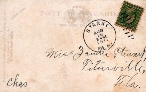 IN ALLIGATOR JOE'S FARM PALM BEACH FLORIDA POSTCARD 1911