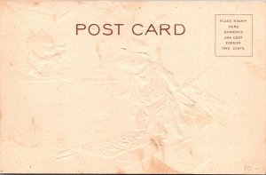 Cats Humanized Anthropomorphic Dressed Cats Vintage Postcard 1907 JD27