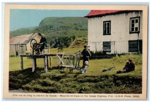 c1940's Wayside Glimpse on the Gaspe Highway PQ (Quebec) Canada Postcard