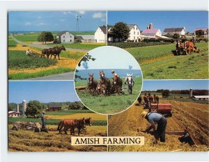 Postcard Amish Farming, Pennsylvania