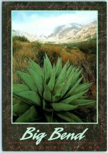 Postcard - The Chisos Basin - Big Bend National Park - Texas 