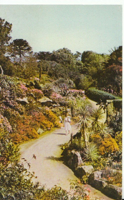 Isle of Scilly Postcard - Tresco Abbey Gardens - Ref 19861A