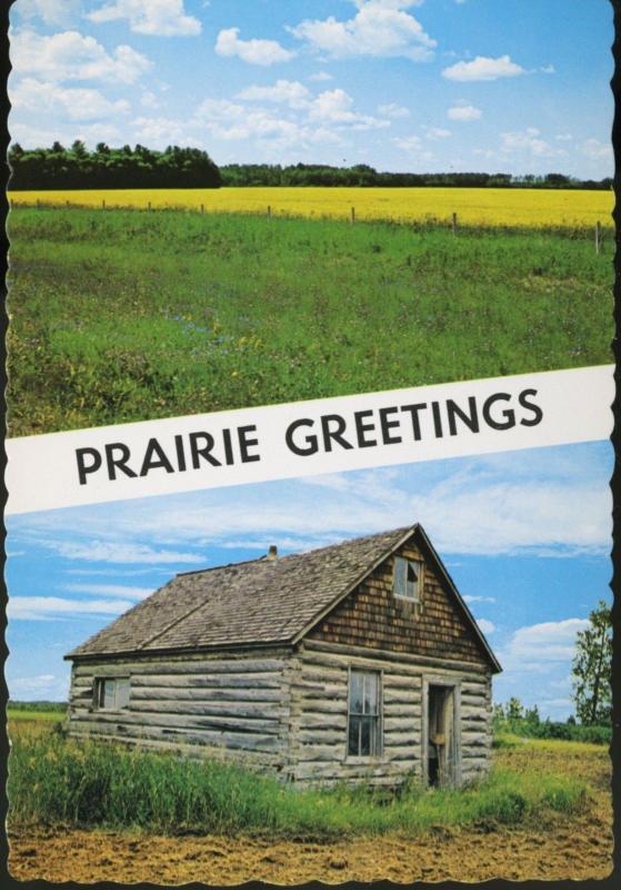 Prairie Greetings Canola Rapeseed Crop House SK Sask Saskatchewan Postcard D9