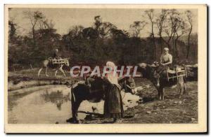 Old Postcard Our Normandy Milk Laitieres Donkey Folklore