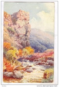 AS, The Dewerstone, Dartmoor (Devon), UK, 1910-1920s