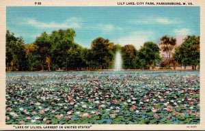 West Virginia Parkersburg City Park Lily Lake Curteich