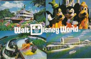 Florida Orlando Walt Disney World Multi View