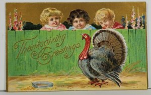 Thanksgiving Beautiful Embossed Gilded Children Fence Turkey Postcard P13