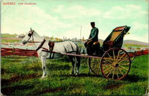 Vintage Postcard 1910s Quebec Une Caleche Horse Drawn Cart UNP