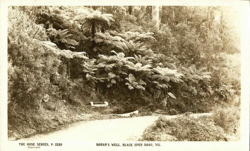 australia, HEALESVILLE, Victoria, Ronan's well, Black Spur Road (1930s) RPPC