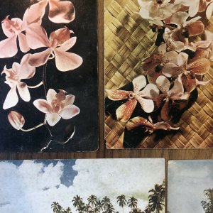 Lot Of 11 : Vintage Color Post Card Philippines Kodachrome Manila