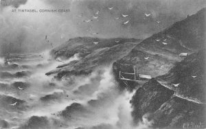 England 1905 Tintangel Cornish Coast Seagulls vintage postcard