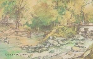 Watersmeet Devon East Lyn Moss Fern History Watercolour Painting Postcard