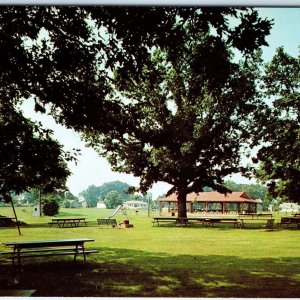 c1960s Lena IL Community Park Baseball Football Picnic Playground Chrome PC A304