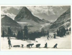 old rppc SLED DOGS East Kootenay - By Invermere & Radium Hot Springs BC W0843