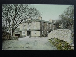 Wales Denbighshire PENTREVOELAS Voelas Arms Hotel c1907 Postcard by John Roberts