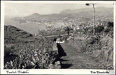 portugal, MADEIRA, Funchal, Panorama (1951) RPPC