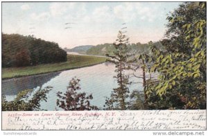 New York Rochester Scene On Lower Genesee River 1907