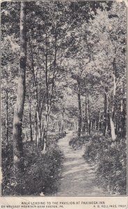 WEYGADT MOUNTAIN, PA, PU-1906; Walk Leading To The Pavilion At Paxinosa Inn