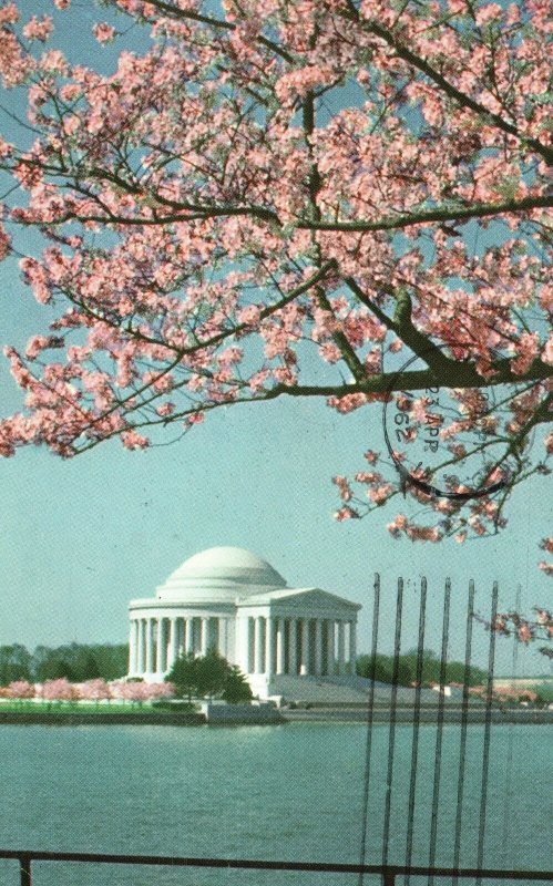 Vintage Postcard 1962 Jefferson Memorial Temple Of White Marble Washington DC