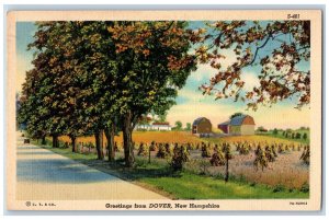 1941 Greetings From Dover Highway Trees New Hampshire NH Correspondence Postcard