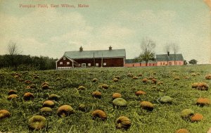 ME - East Wilton. Pumpkin Field