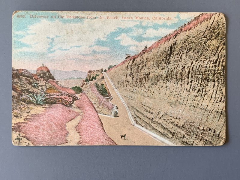 Driveway Up The Palisades Santa Monica CA Litho Postcard A1143091811