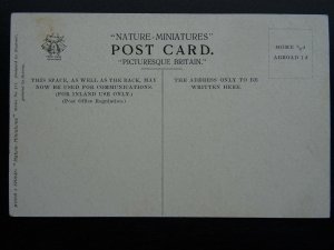 Cumbria  RYDALWATER & COLERIDGES HOUSE c1907 Postcard by Misch & Stock