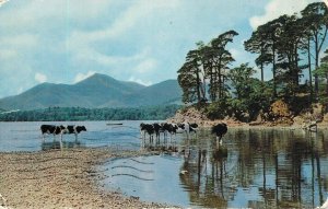 UK England Friars Crag Derwentwater Causey Pike 1965