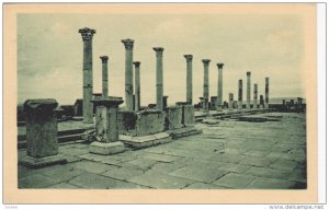 TIMGAD, Colonnes du Partique Nord de Forum, Algeria, 10-20s