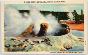 Postcard - Grotto Geyser, Yellowstone National Park - Wyoming