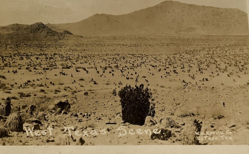 W. H. Horne West Texas El Paso Texas Desert Scene Postcard RPPC