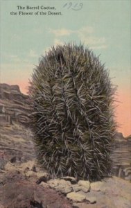 The Barrel Cactus The Flower Of The Desert