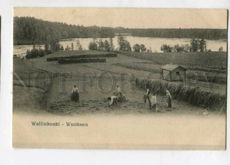 3148114 Karelia FINLAND Wallinkoski Wuoksen Vintage PC