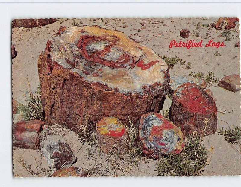 Postcard Petrified Logs, Petrified Forest National Park, Northern Arizona