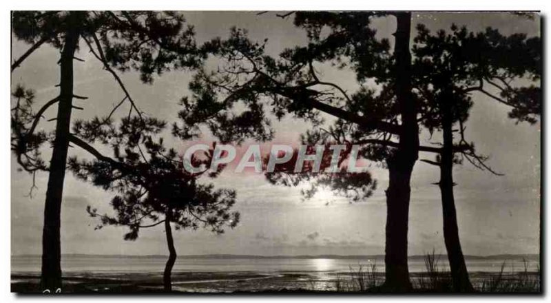 Old Postcard Basin D & # 39Arcachon Sunset Sunglasses Pure Basin