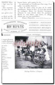 Image Musee Du Louvre Paris L & # 39oiseau death