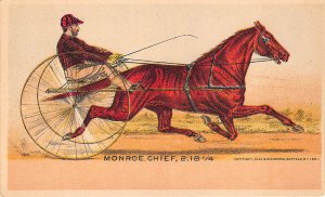 Buffalo NY 1881 Monroe, Chief Sulky Horse Racing Tradecard