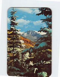 Postcard Mt. Ypsilon in autumn Rocky Mountain National Park Colorado USA