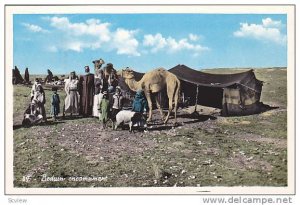 RP: Accampamento beduino , Israel , 20-40s